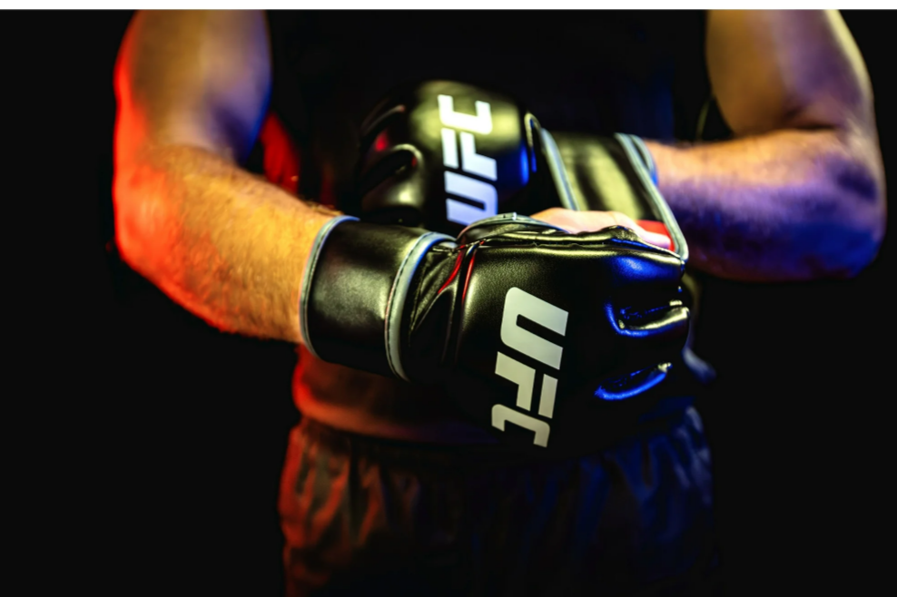 UFC Brand gloves L/XL and SM/MD